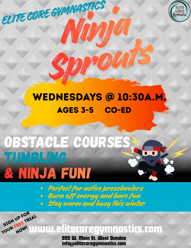 ninja sprouts
